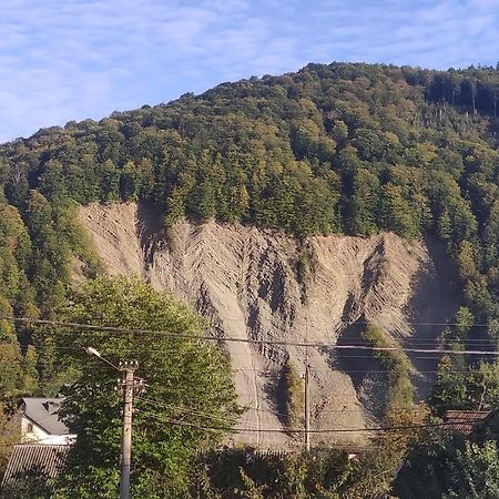 "У Пасічника" Котедж Для Сім'Ї Iaremcea Exterior foto