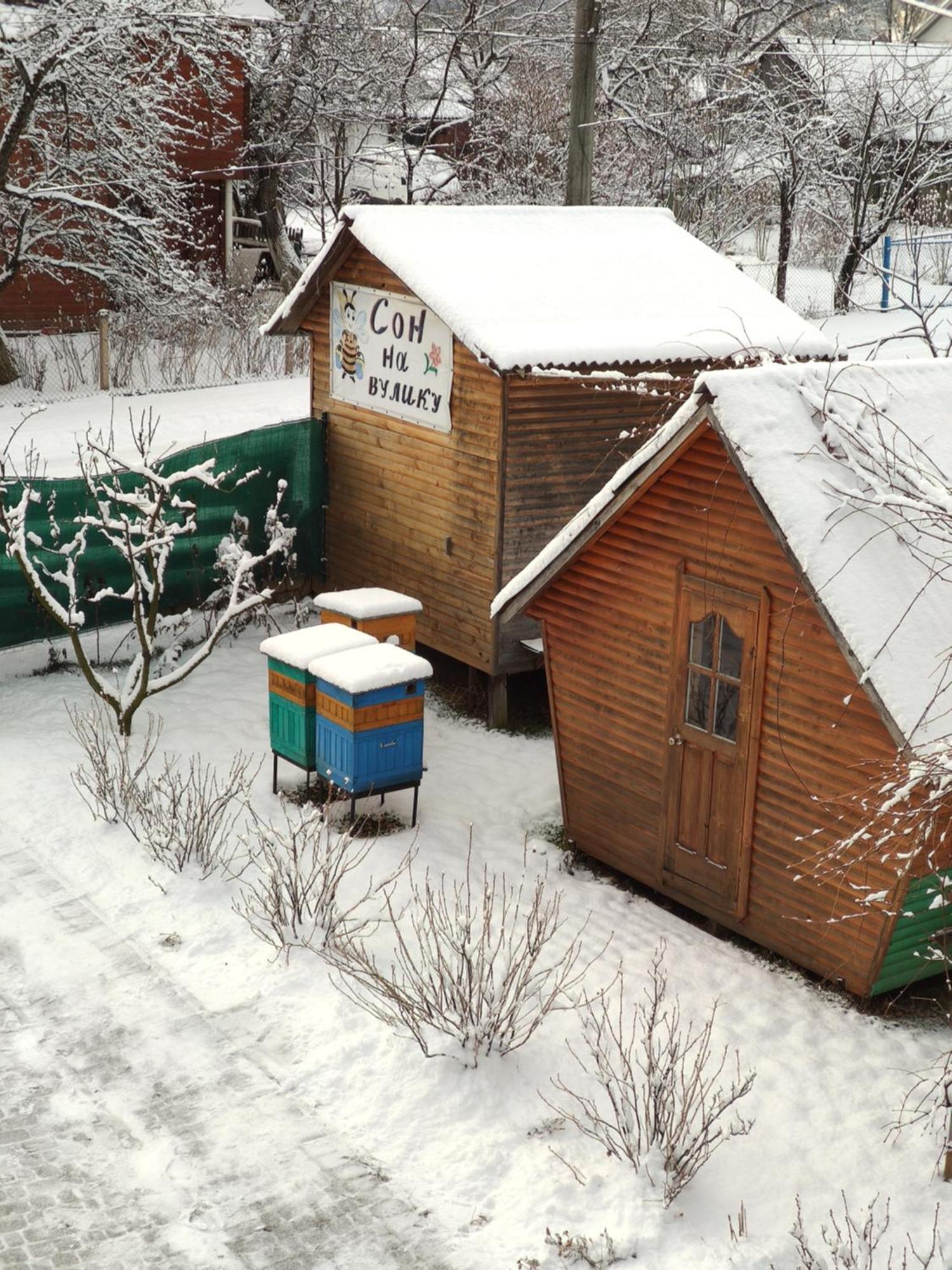 "У Пасічника" Котедж Для Сім'Ї Iaremcea Exterior foto
