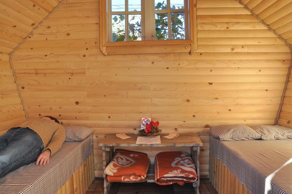 "У Пасічника" Котедж Для Сім'Ї Iaremcea Exterior foto