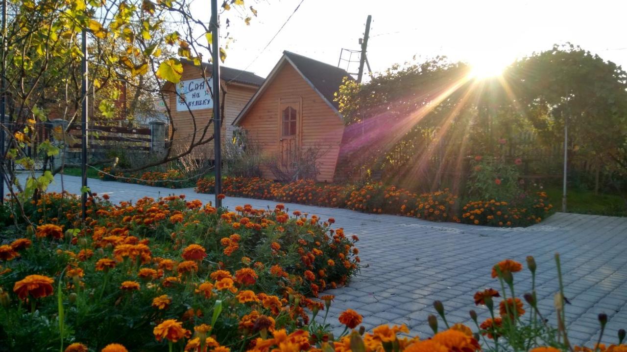 "У Пасічника" Котедж Для Сім'Ї Iaremcea Exterior foto