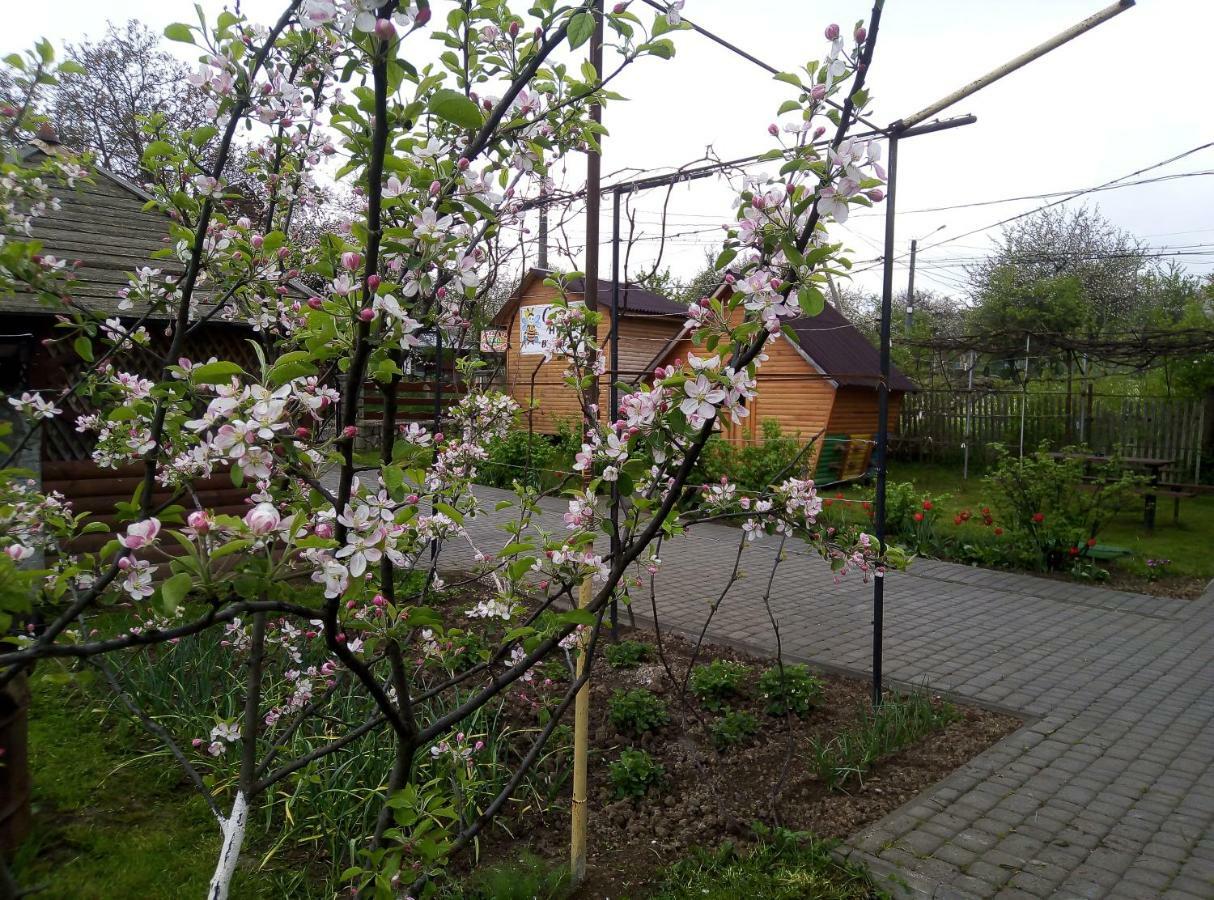 "У Пасічника" Котедж Для Сім'Ї Iaremcea Exterior foto