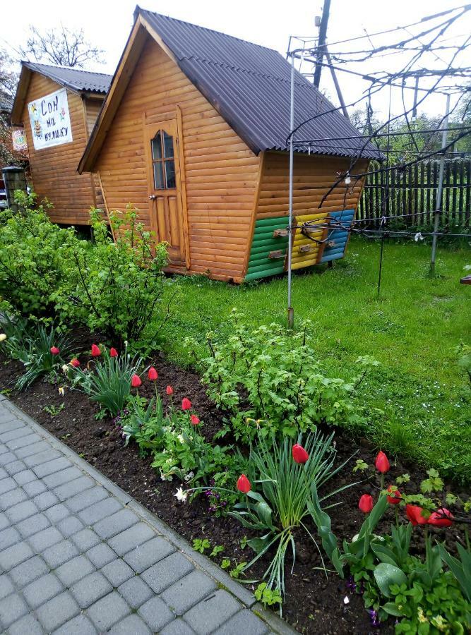 "У Пасічника" Котедж Для Сім'Ї Iaremcea Exterior foto